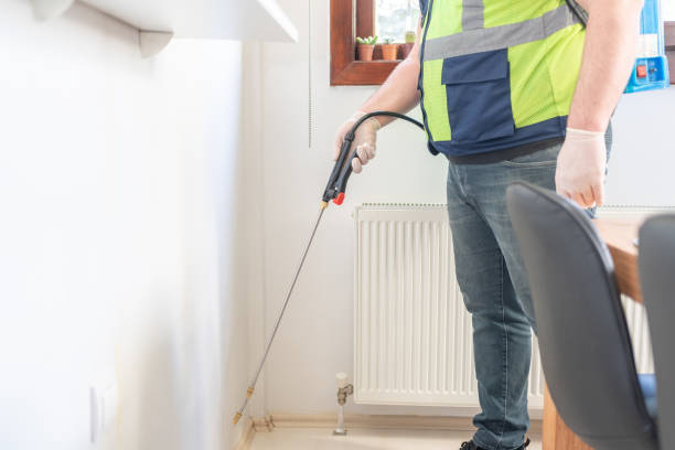 Best Wildlife Control Services  in Holiday, FL
