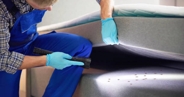 Best Bed Bug Extermination  in Holiday, FL