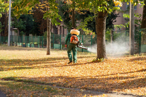 Best Pest Control Near Me in Holiday, FL